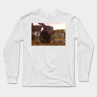 All Acd Long Sleeve T-Shirt